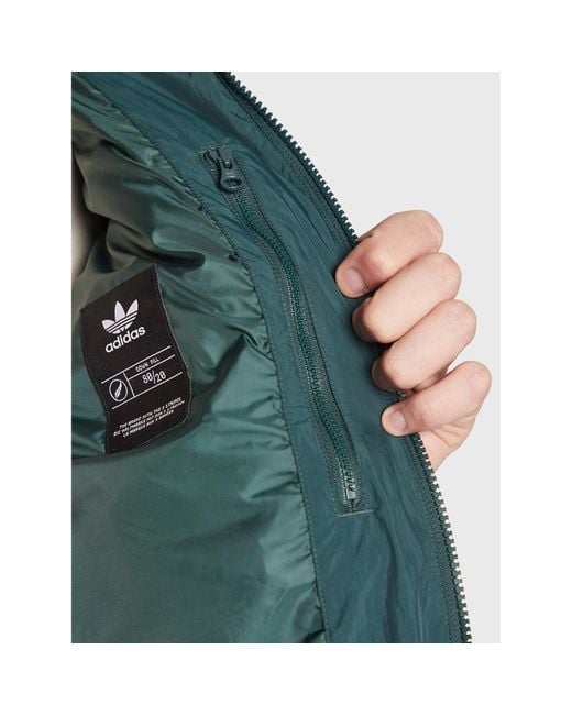 Adidas Winterjacke Regen Hl9187 Grün Regular Fit in Green für Herren