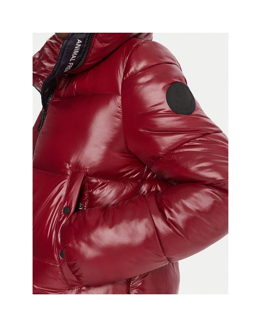 Save The Duck Red Winterjacke D39370W Love21 Regular Fit