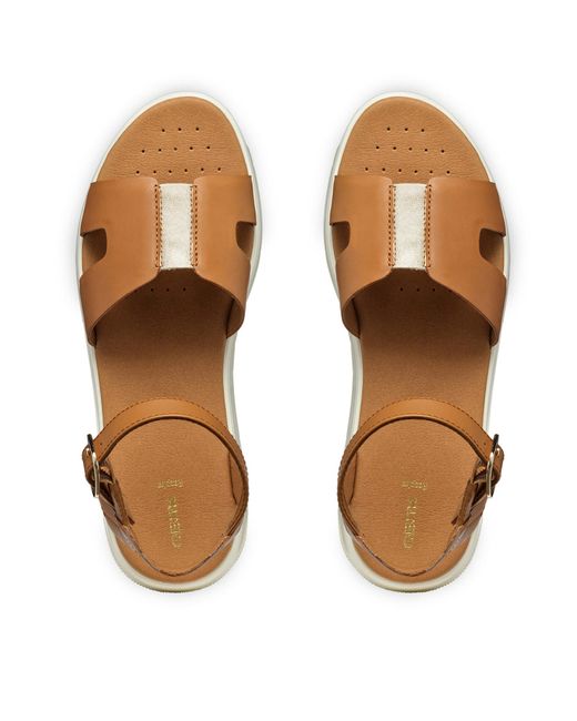 Geox Brown Sandalen D Dandra D55Nnb 05443 C5F2L