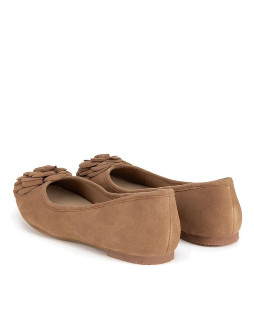 Sergio Bardi Brown Ballerinas Wi40-F1105-01Sb