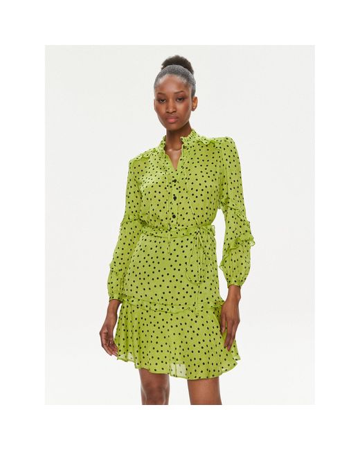 Pinko Green Kleid Für Den Alltag Piccadilly 101493 A155 Grün Regular Fit
