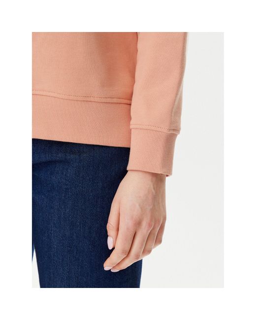 Calvin Klein Blue Sweatshirt Gradient Monologo J20J225360 Regular Fit