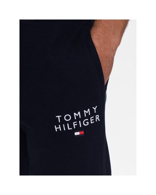 Tommy Hilfiger Jogginghose Um0Um02880 Regular Fit in Blue für Herren