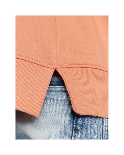 Calvin Klein Orange Sweatshirt J20J221335 Regular Fit