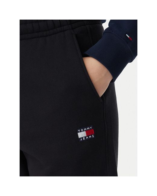 Tommy Hilfiger Blue Jogginghose Dw0Dw22780 Regular Fit