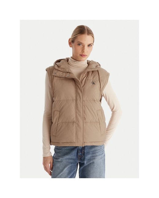 Calvin Klein Brown Daunenjacke Lv044D522G Regular Fit