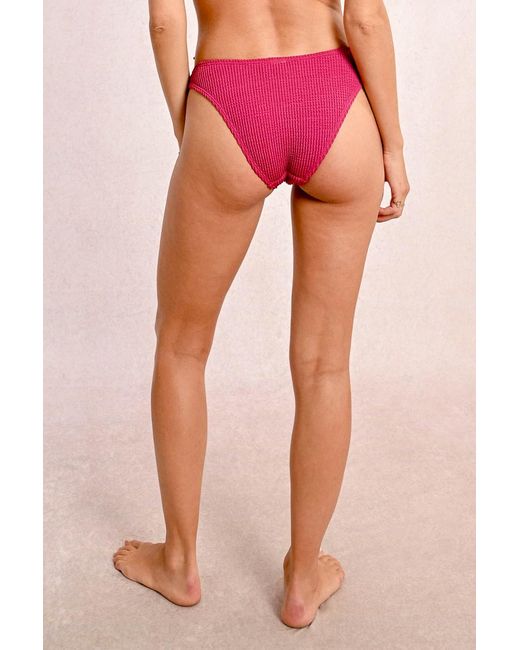 Bas de maillot de bain échancré en éponge Molly Bracken en coloris Pink
