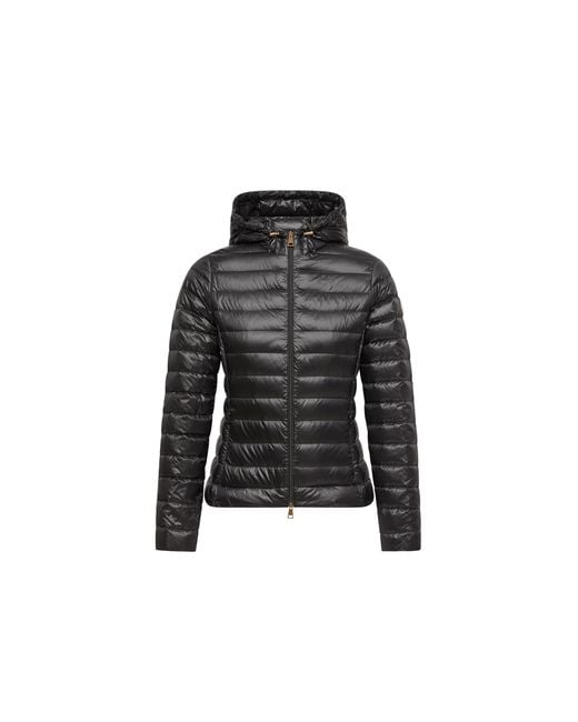 Moncler Black Moncler Igelhood Short Down Jacket
