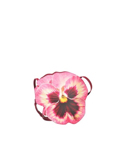 Christopher outlet kane clutch