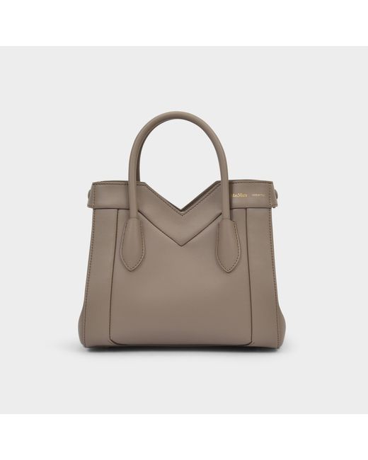 Max Mara Natural Madame Small Bag In Taupe Leather