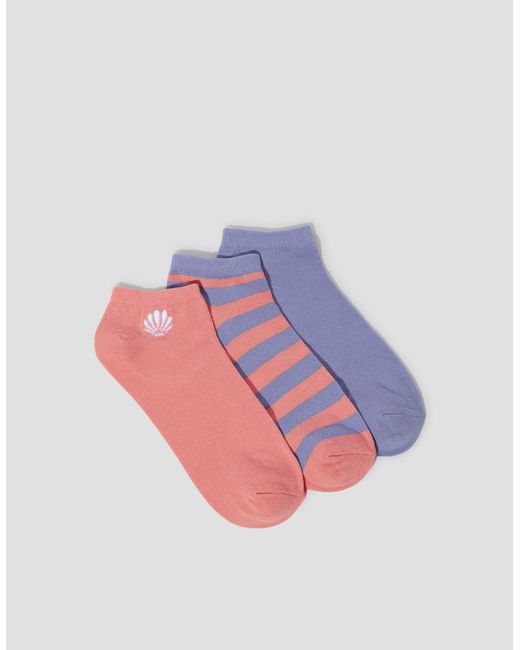 Monsoon Pink 3-pack Shell Stripe Trainer Socks