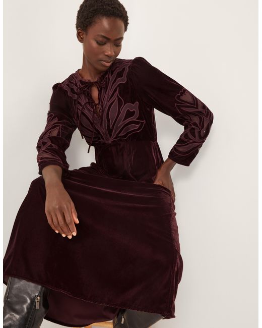 Monsoon Brown Ezra Embroidered Velvet Midi Dress Purple