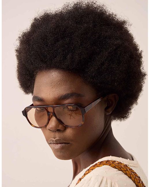 Monsoon Black Corlin Eyewear Gelo Tortoise Cinnamon Sunglasses