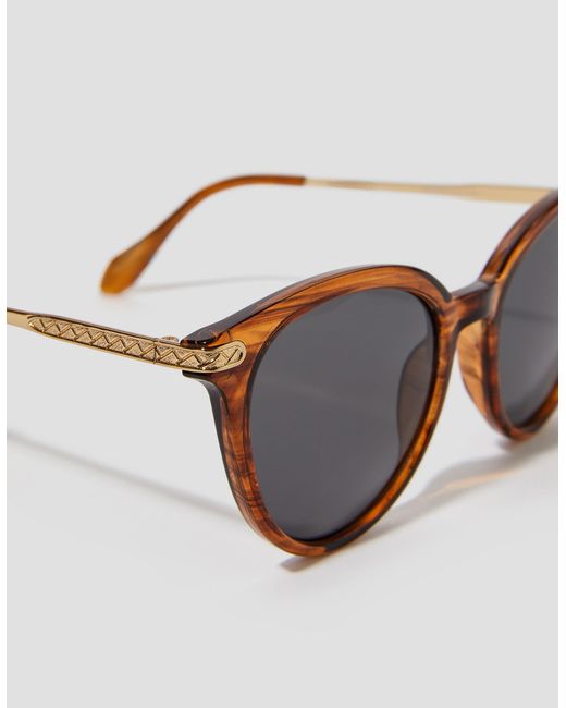 Monsoon Brown Preppy Round Sunglasses