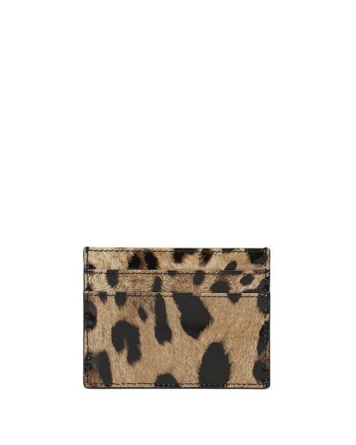 Dolce & Gabbana Brown Leopard Print Leather Card Holder