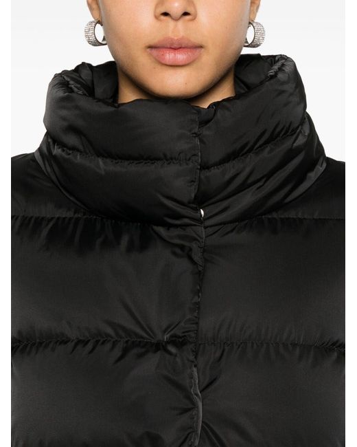 Herno Black Dress Shirt Long Sleeve