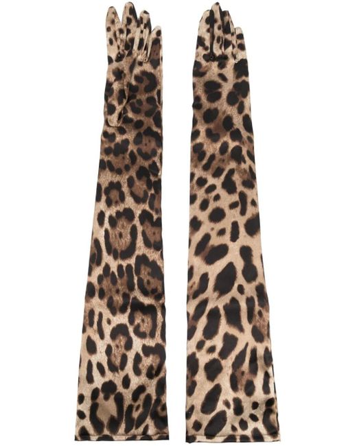 Dolce & Gabbana Brown Leopard Print Silk Gloves