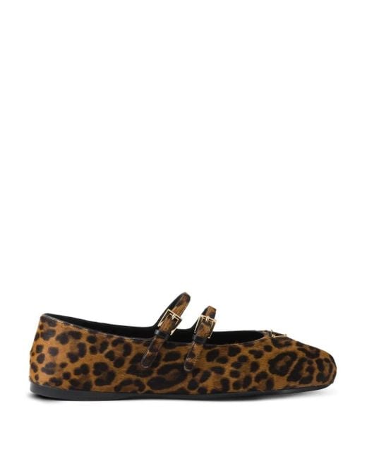 Prada Brown Low Shoes