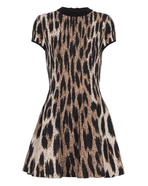 Balmain Black Leopard Jacquard-Effect Dress