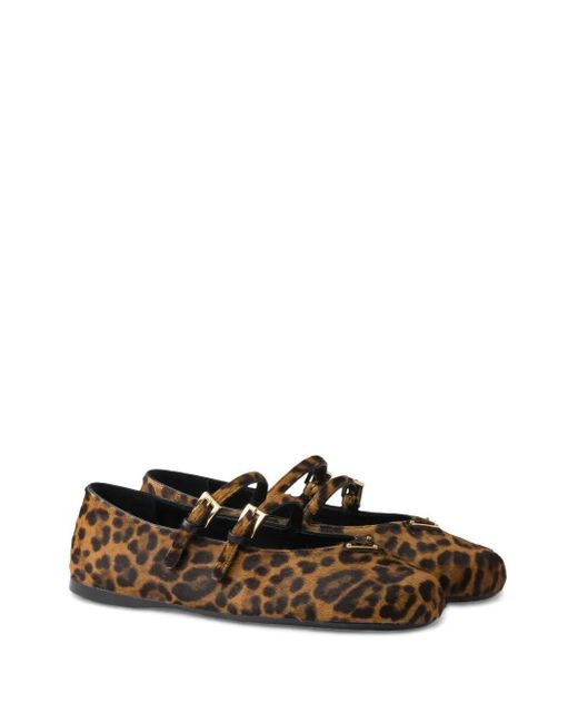 Prada Brown Low Shoes