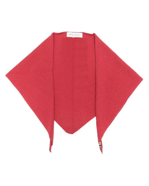 Extreme Cashmere Red Scarf