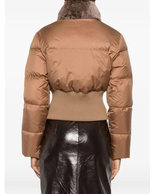 Fendi Brown High Collar Zip Front Jacket