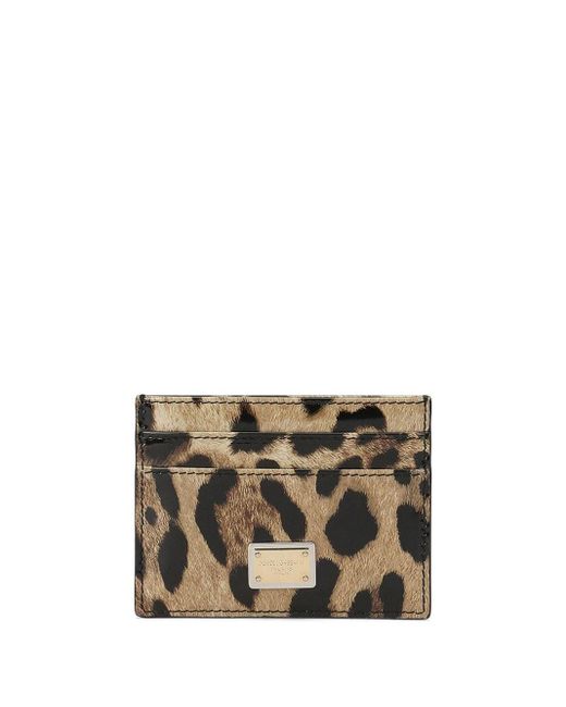 Dolce & Gabbana Brown Leopard Print Leather Card Holder