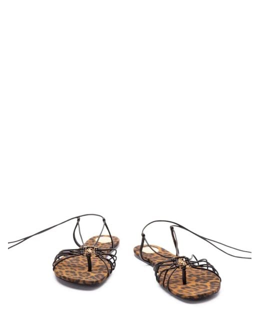 Saint Laurent Brown Ankle Strap Babylone Flat Sandals