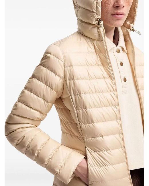 Moncler Natural Igelhood Jacket