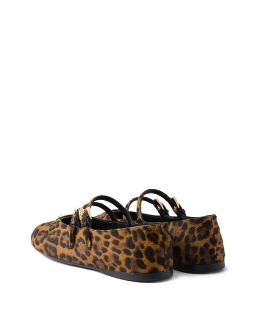 Prada Brown Low Shoes