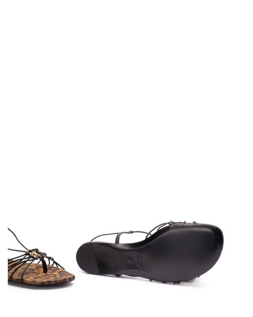 Saint Laurent Brown Ankle Strap Babylone Flat Sandals