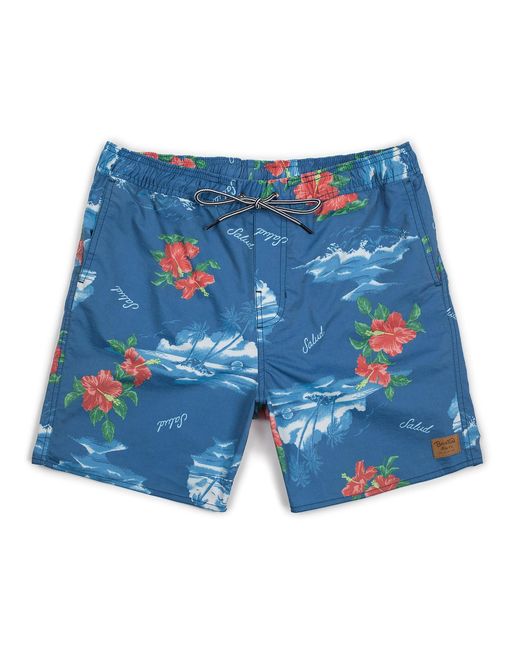 brixton swim trunks