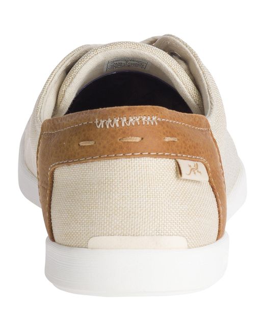 chaco ionia lace