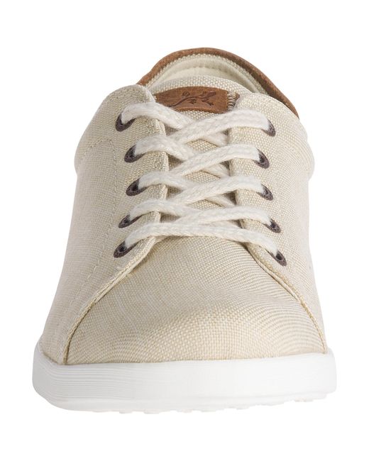 chaco ionia lace