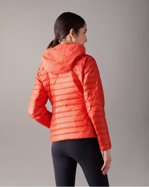 Moose Knuckles Red Cloud Walker Air Down Jacket