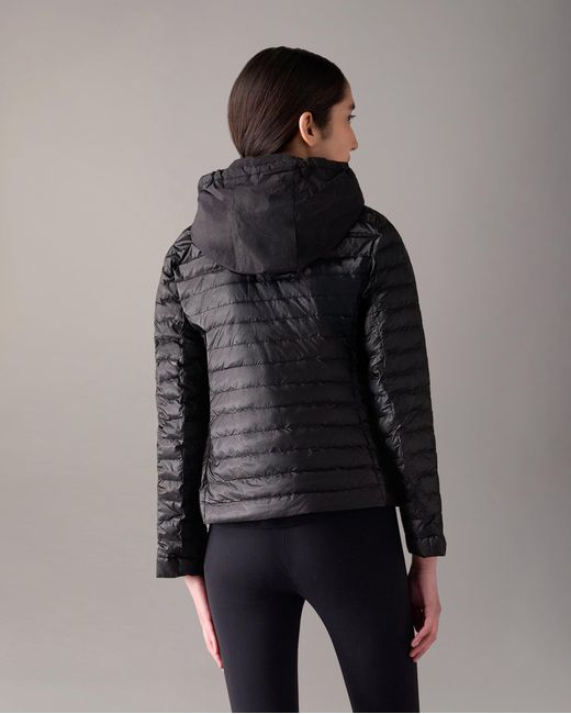 Moose Knuckles Multicolor Cloud Walker Air Down Jacket