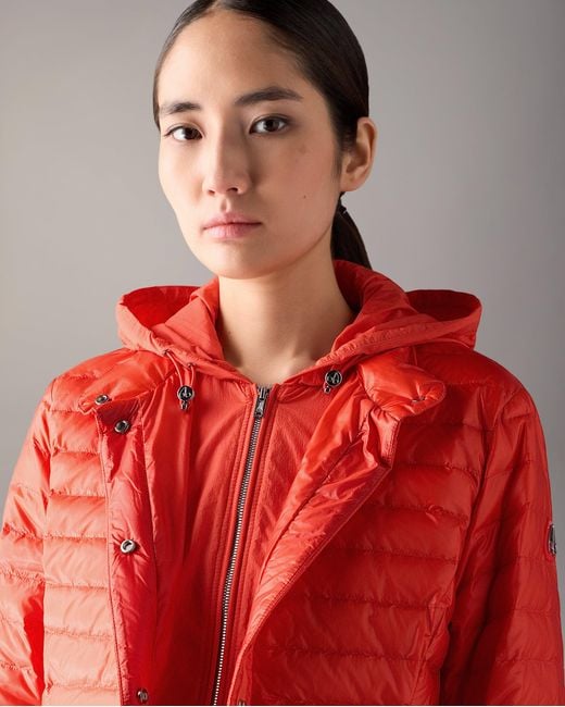 Moose Knuckles Red Cloud Walker Air Down Jacket