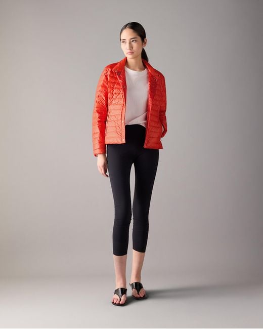 Moose Knuckles Red Cloud Walker Air Down Jacket