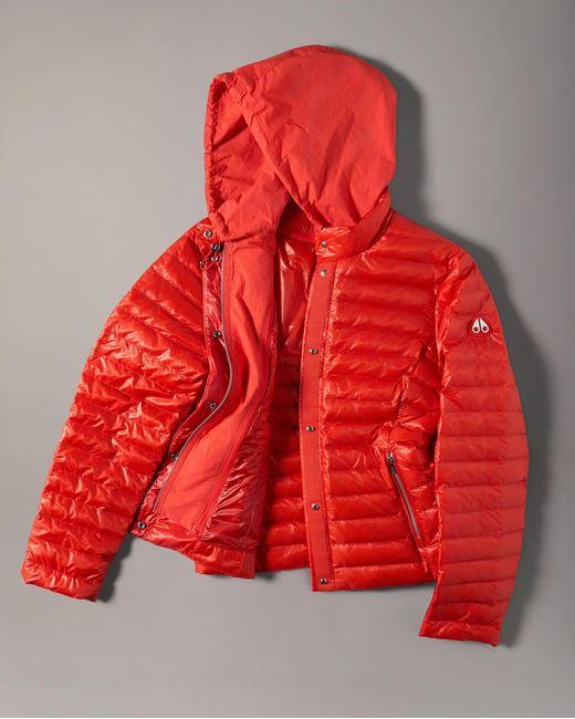 Moose Knuckles Red Cloud Walker Air Down Jacket