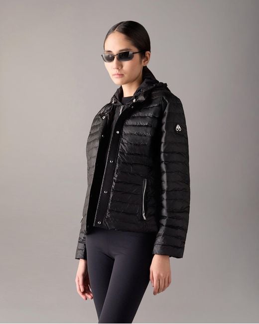 Moose Knuckles Multicolor Cloud Walker Air Down Jacket