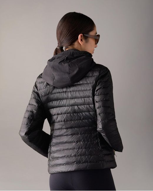 Moose Knuckles Black Series Cloud Walker Air Down Jacket