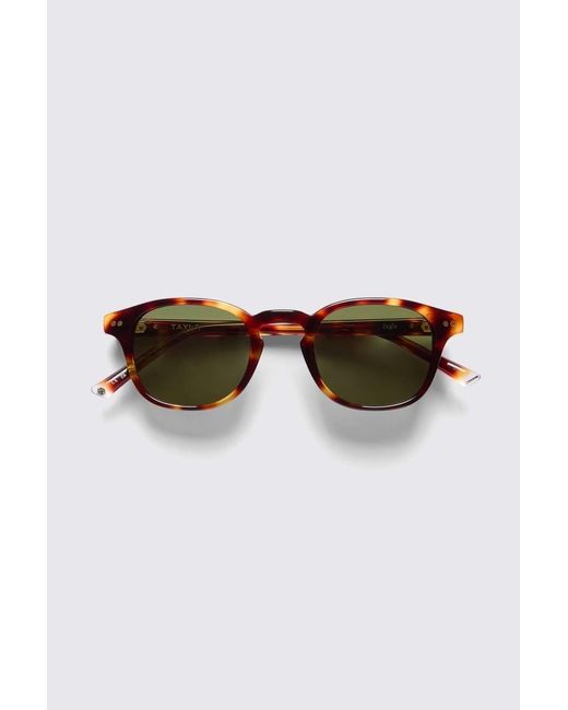 Taylor Morris Brown Tortoise Eagle Sunglasses for men