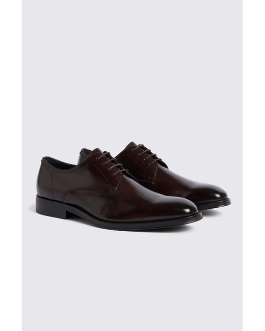 John White Brown Wilms Derby Shoe for men