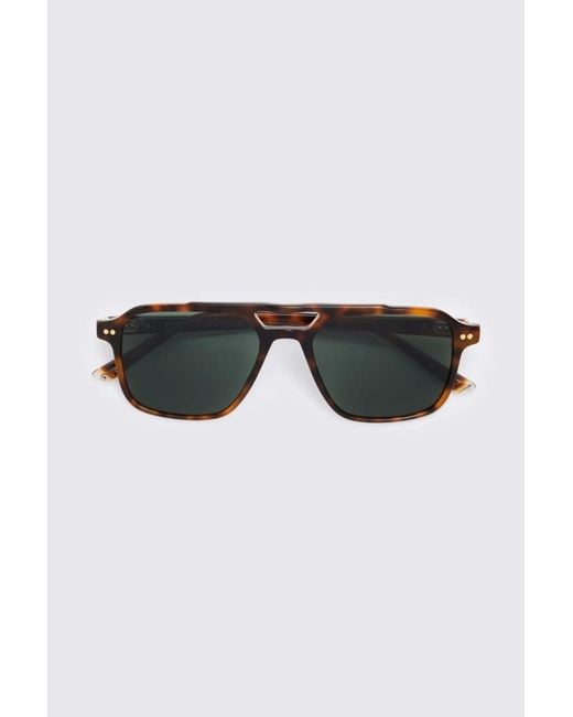 Taylor Morris Brown Dark Tortoise Bond Sunglasses for men