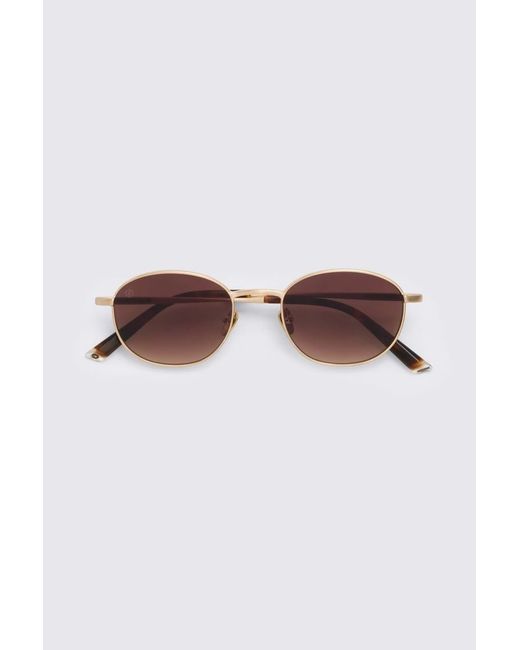 Taylor Morris Brown Monarch Sunglasses for men