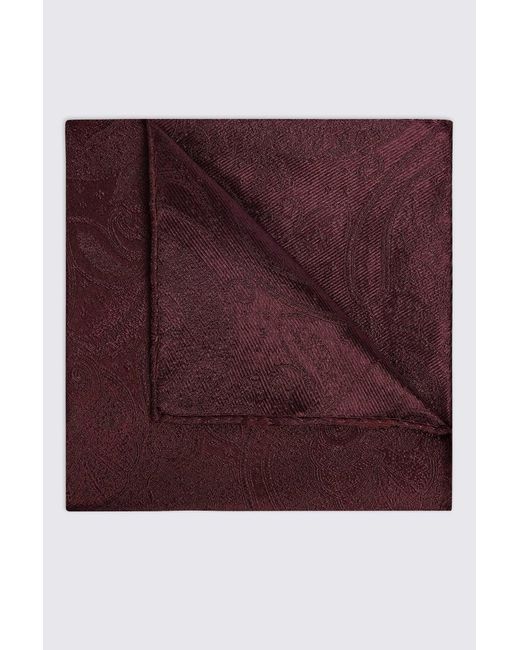 Wedding paisley Purple Burgundy Pocket Square for men