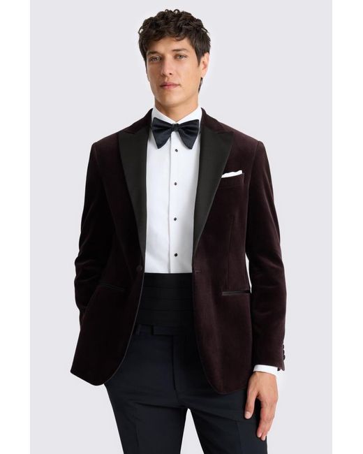 Moss Bros Black Regular Fit Grape Velvet Jacket for men