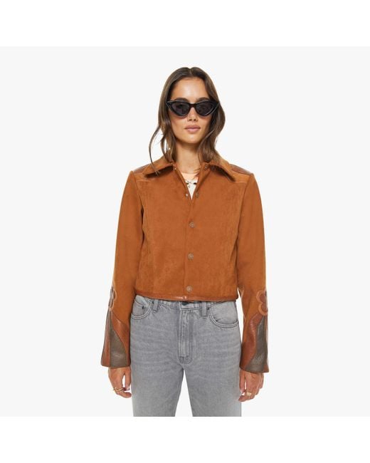 Mother Brown The Open Book Bird's Eye View Jacket