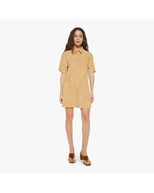 Xirena Natural Chloe Dress Fawn