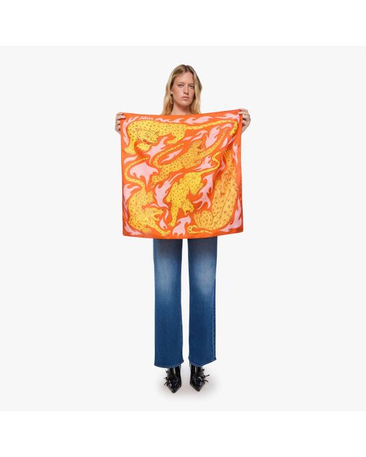 Mother Orange The Scarf It Down Flaming Hot Cheetahs!